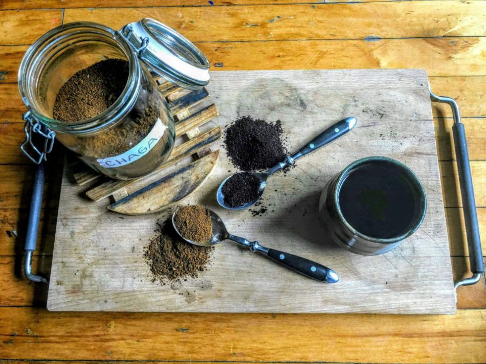 Chaga: Sportlerpilze